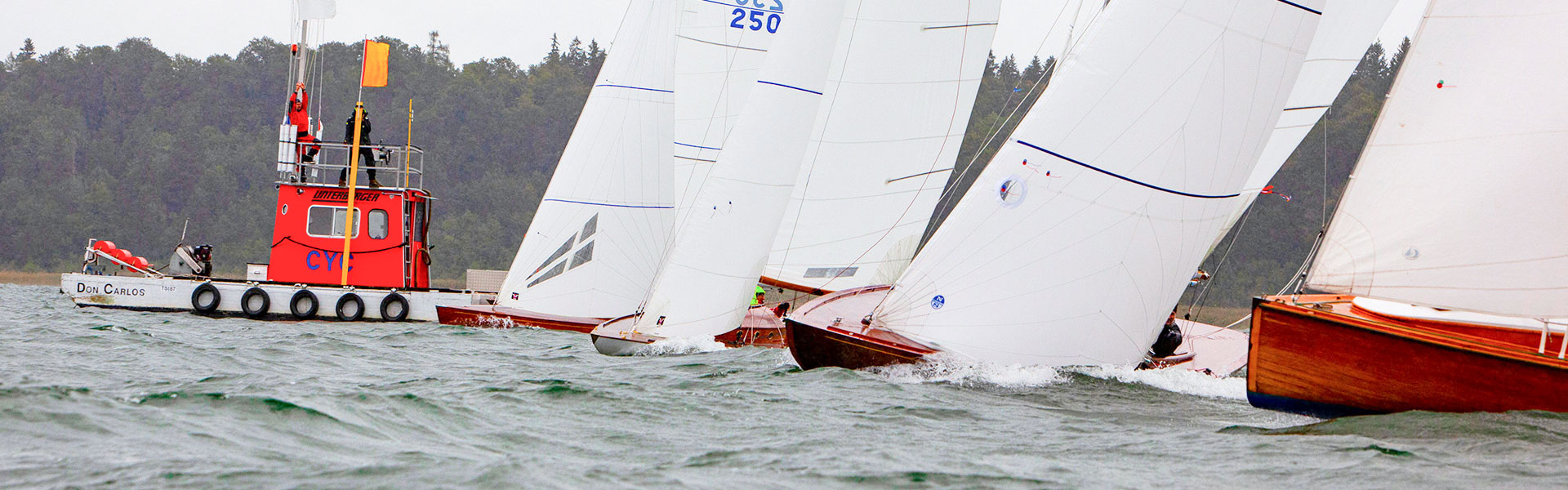 regatta_1.jpg