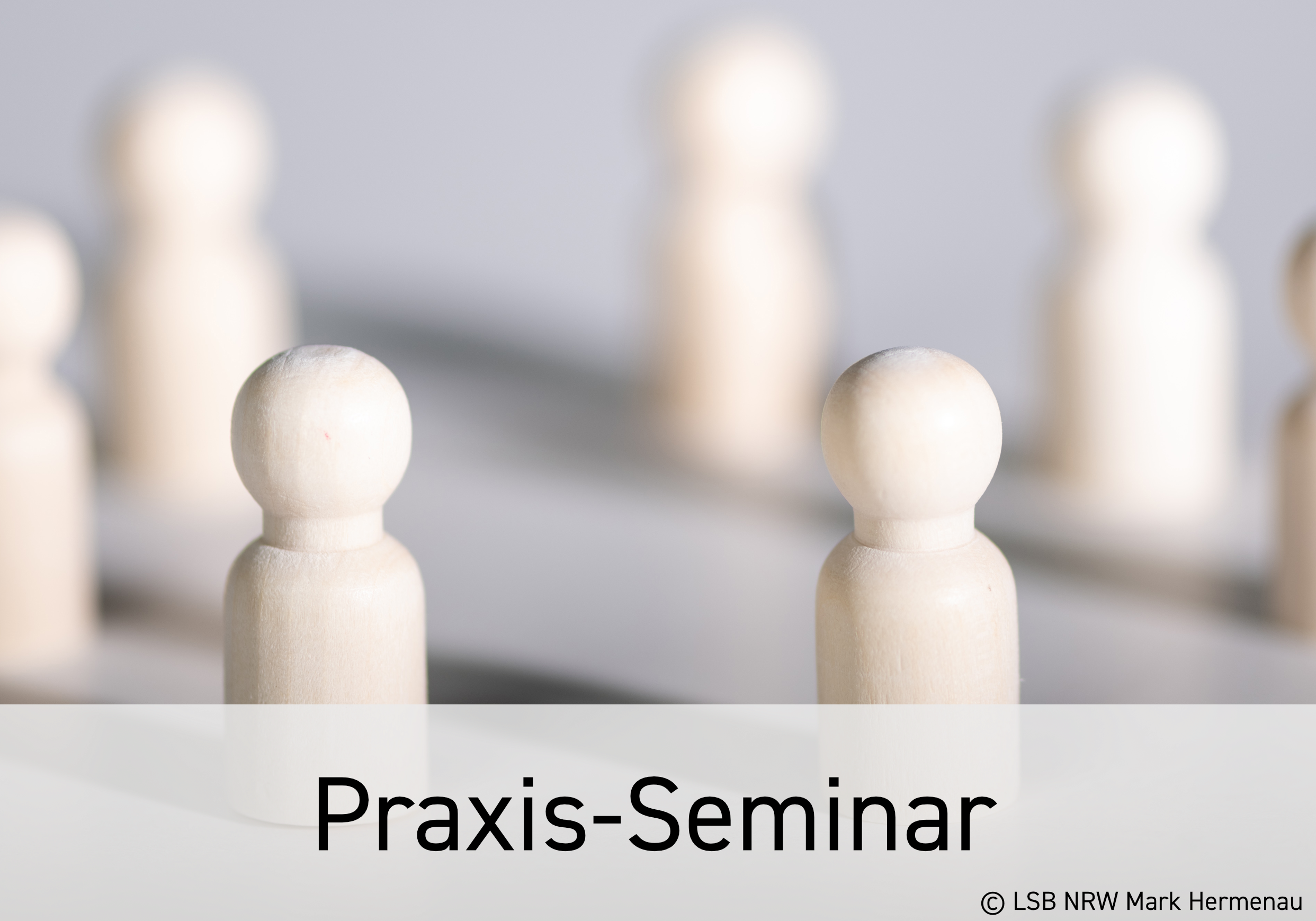 Praxis-Seminar_© LSB NRW_Mark Hermenau.png